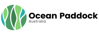 Ribbon Gang – Website Logos – Ocean Paddock